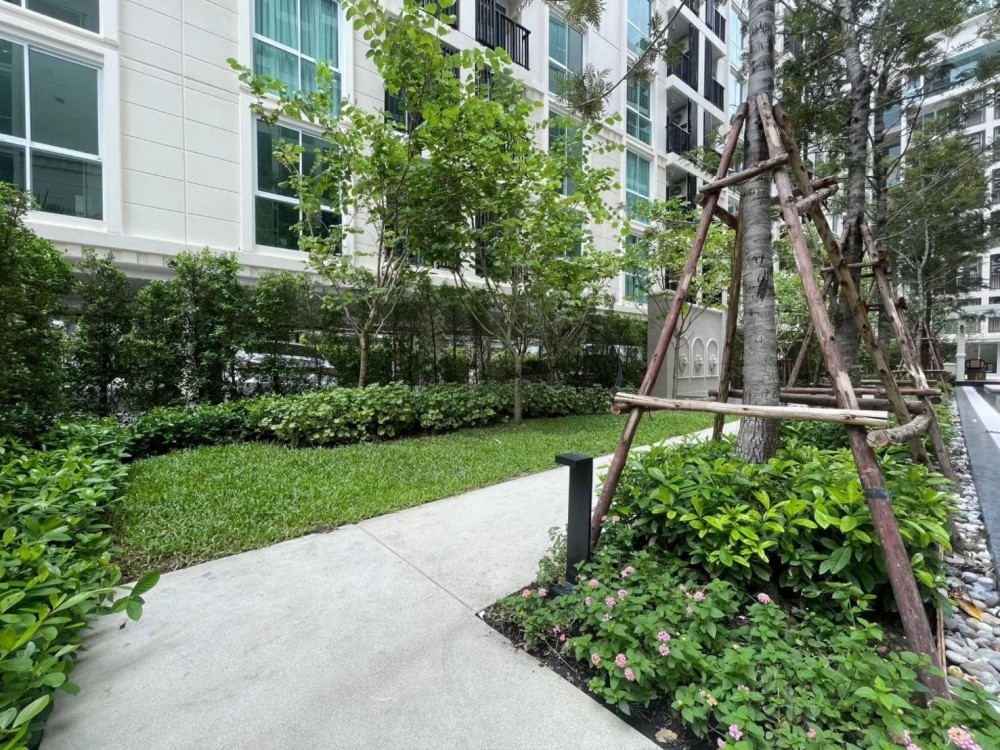 ปล่อยเช่า ชาโตว์ อินทาวน์ รัชโยธิน กั้นห้องเป็นสัดส่วน เฟอร์นิเจอร์ครบชุด พร้อมโซฟาน่านั่่่ง จองเลย