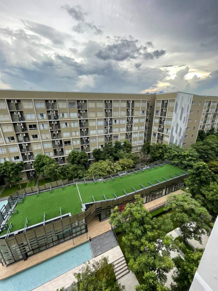 ปล่อยเช่า plum condo rangsit alive 2 ชั้นสูงกำลังดี วิวสวยและสระว่ายน้ำแจ่มๆ ดีแบบนี้รีบจองเลยจ้า