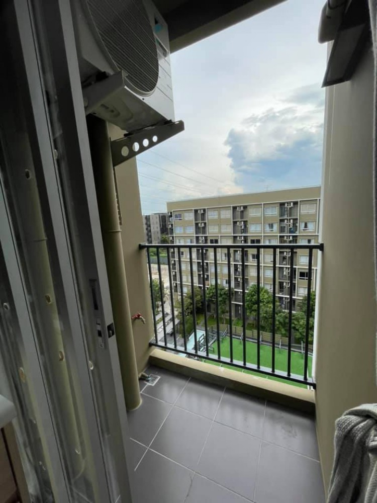 ปล่อยเช่า plum condo rangsit alive 2 ชั้นสูงกำลังดี วิวสวยและสระว่ายน้ำแจ่มๆ ดีแบบนี้รีบจองเลยจ้า