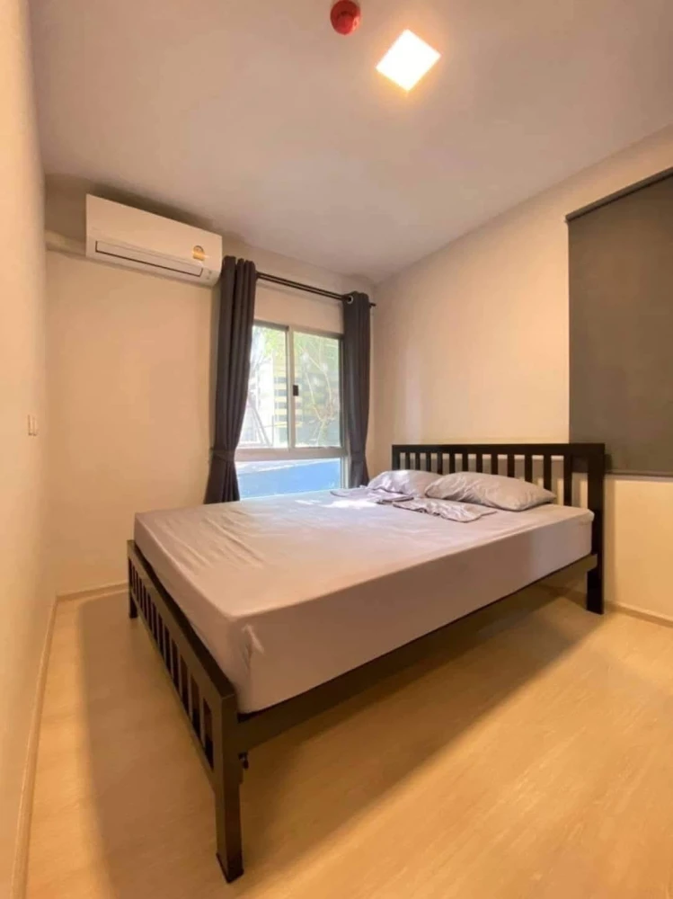 For sale/rent Plum Condo Rangsit Alive 2, ready to move in, furnished, reserve now.