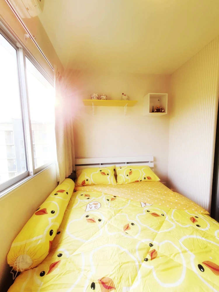 Plum Condo Park Rangsit, Bangkok University Area. Beautiful View Room.
