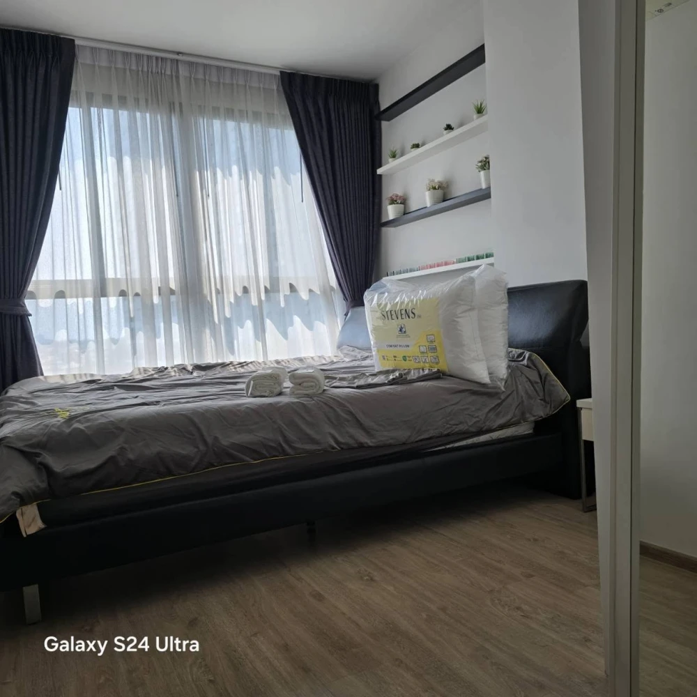 Condo for rent, Ideo O2, 8th floor, 100% pool view, fully furnished with premium furniture, ready to move in.