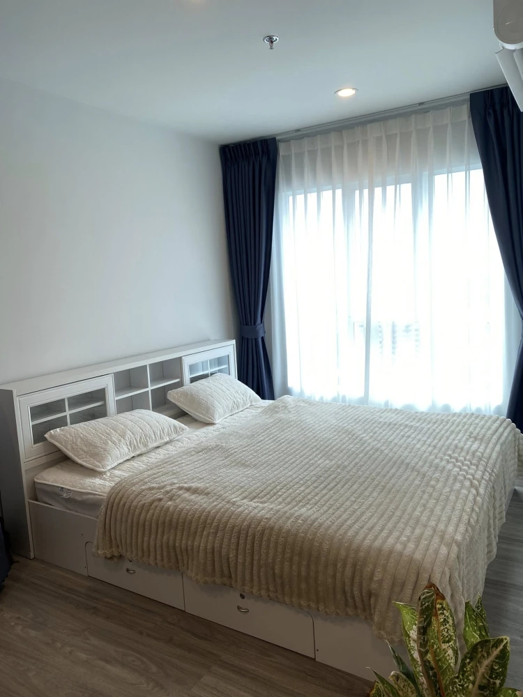 Condo for rent, Regent Home Bangna. Nice unit on the 24th floor with great views. Spacious, bright, and airy. Book today! Don't delay!