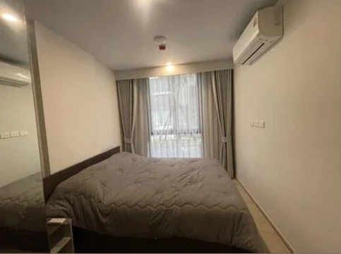 For rent: New Cross Khukot Station, 27 sq.m., 1st floor, Building C. There are trees behind the room, creating a very pleasant and shady atmosphere. T