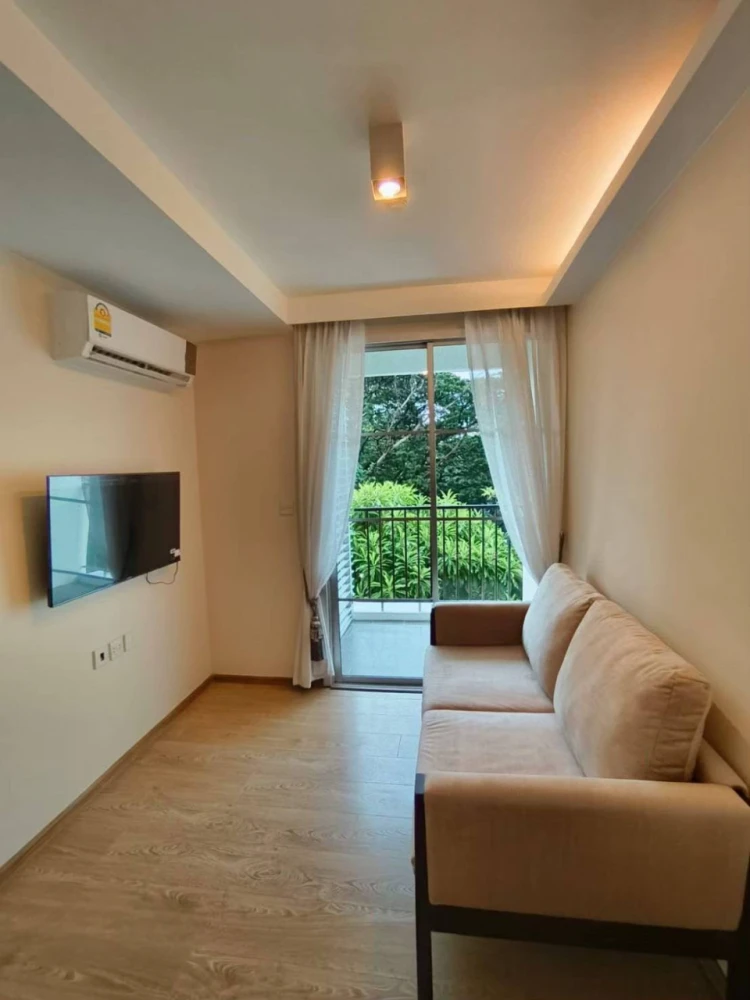 For rent: Maestro 39, 4th floor, private corner room, tree view, shady, pets allowed, both dogs and cats, must book.