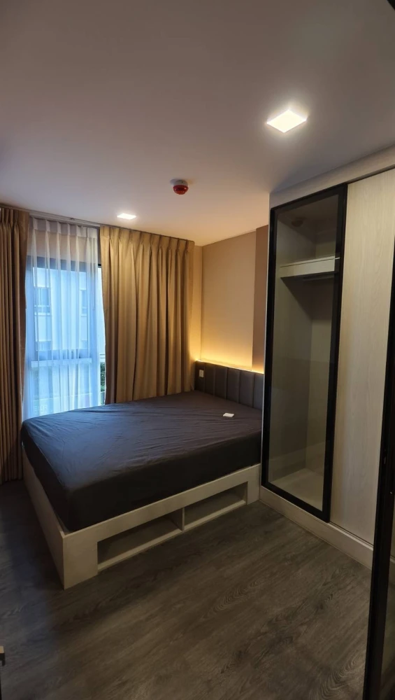For Rent – Kave Wonderland