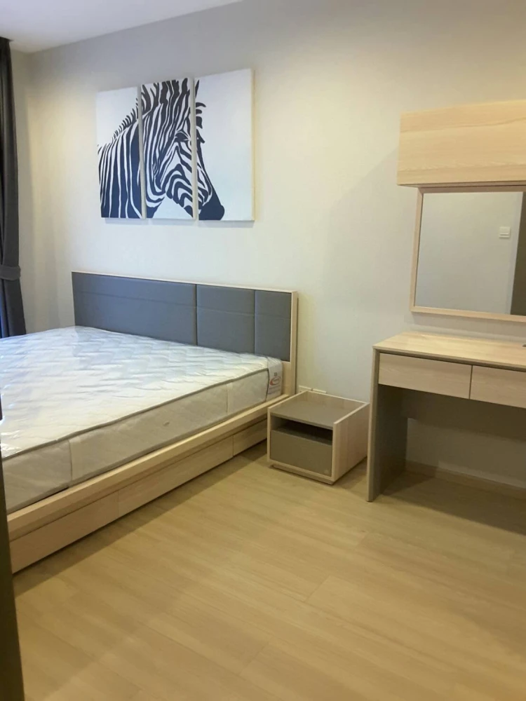 Maestro 12 for rent, pets allowed, room size 36.5 sq m., very comfortable, not cramped at all, don't miss it.