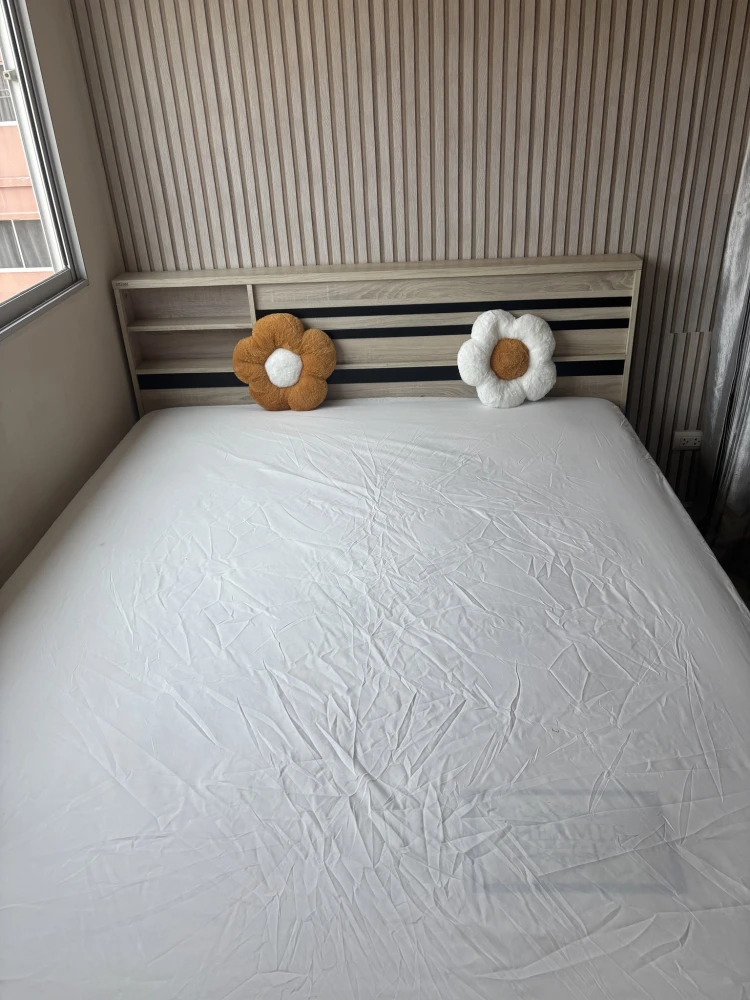 Plum Condo Park Rangsit for rent, 7th floor, fully furnished, convenient location. Don't miss out!
