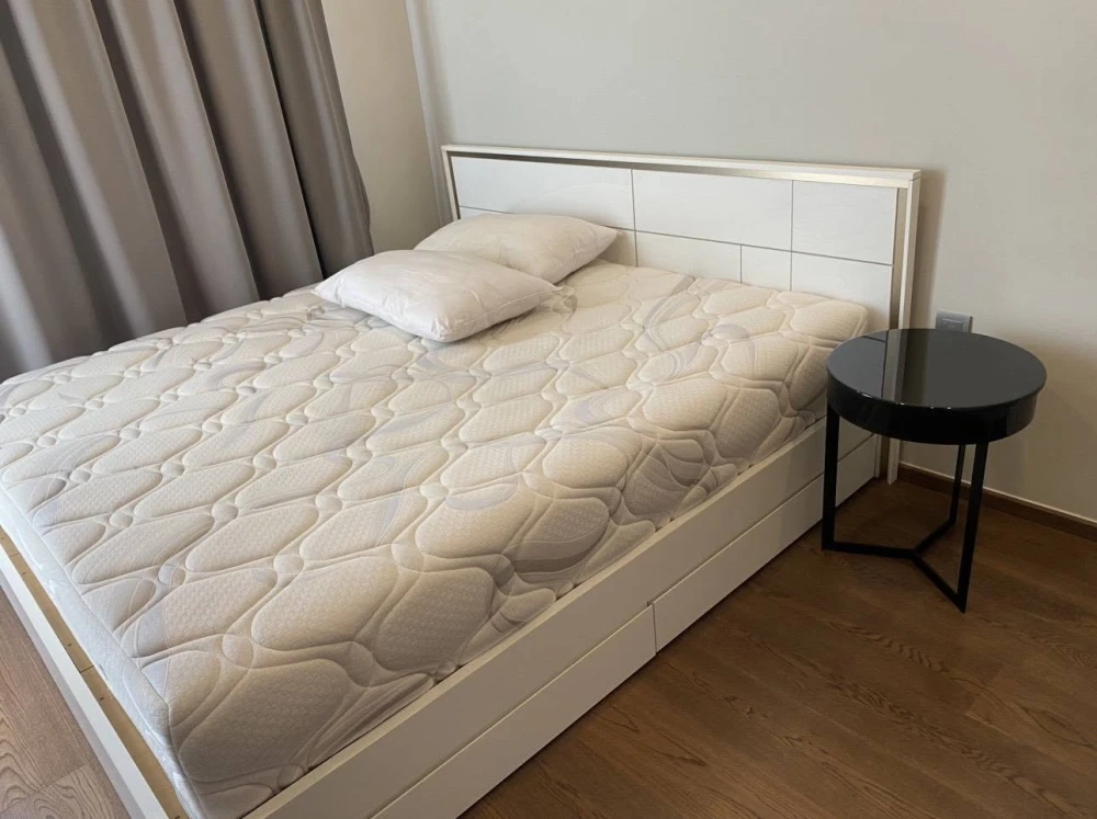 🏠🌃 Condo for Rent: Ideo Q Victory 🏠🌃