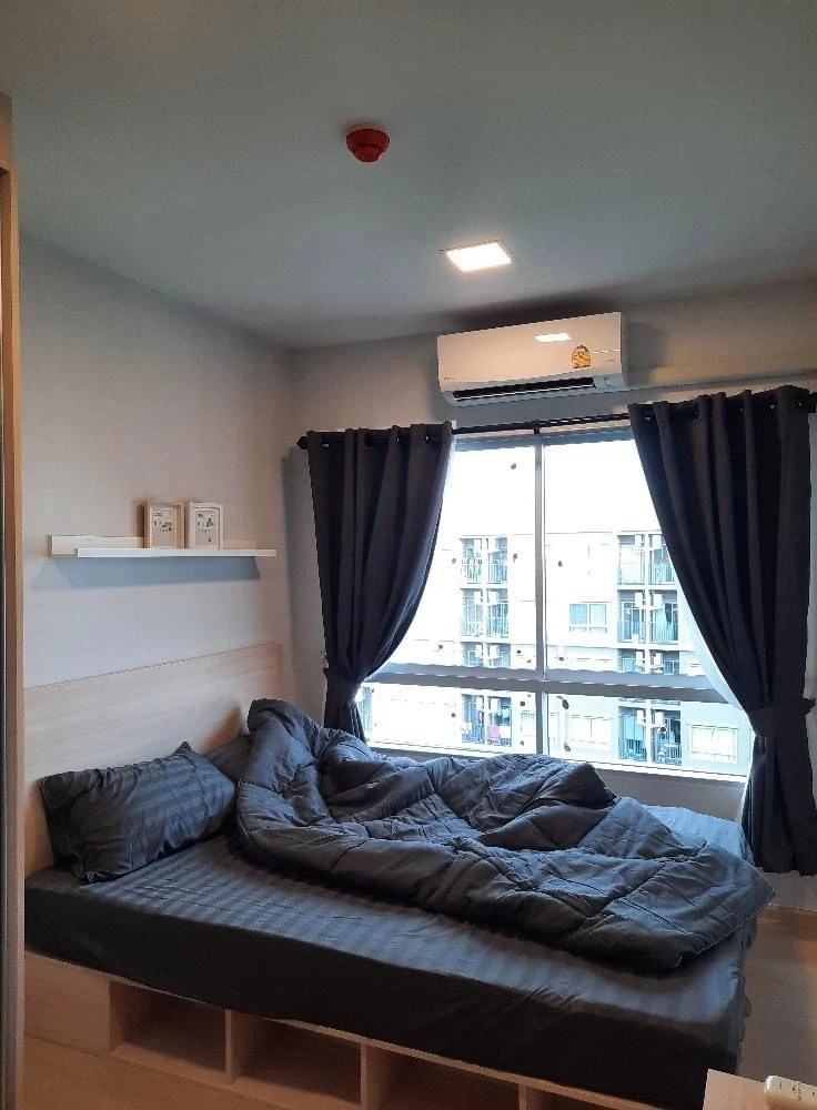 🏠🌃 Plum Condo Rangsit Alive Phase 2 for rent 🏠🌃