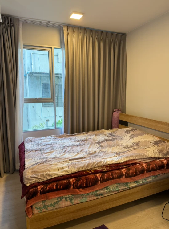 🏠🌃 Plum Condo Sukhumvit 62 for Rent 🏠🌃