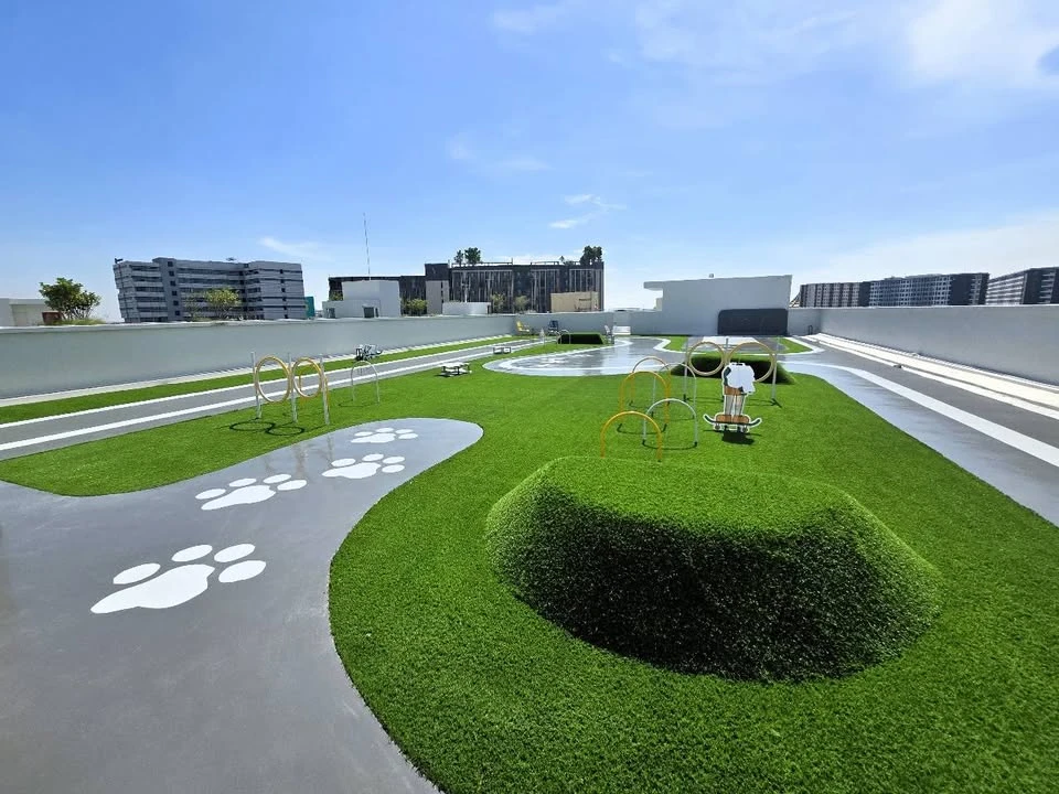 ขายดาวน์ด่วนๆ คอนโด ดิ ออริจิ้น พหลโยธิน 57 อาคาร B เป็นอาคาร Pet Friendly สายเลี้ยงสัตว์ ไม่ควรพลาดเลย