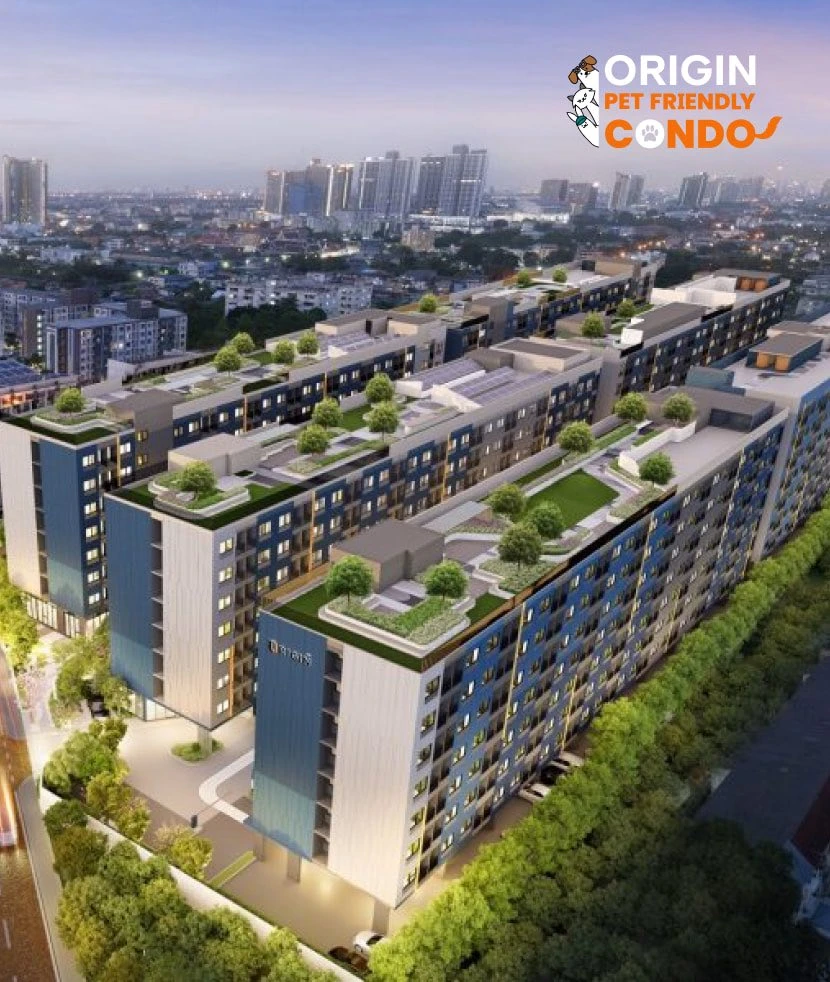 ขายดาวน์ The Origin Bangkae ห้องทิศเหนือ ทำเลดี พื้นที่ใช้สอยเยอะ ดีแบบนี้จะรออะไร