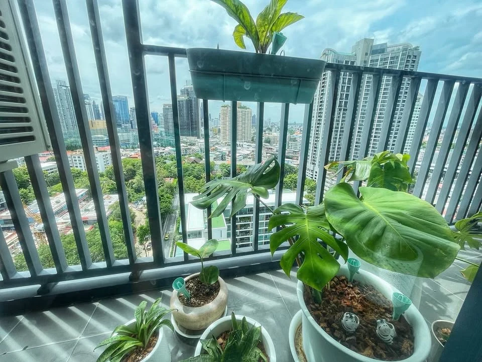 ขายด่วนๆ Ideo Sukhumvit – Rama 4 โอกาสที่หาได้ยากสำหรับห้องมุม 2 ห้องนอนขนาดกว้าง ชั้น 16 พร้อมวิวพื้นที่สีเขียว จองเลย