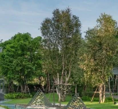 ขาย/เช่า!! คอนโด วิสซ์ดอม อินสไปร์ สุขุมวิท 101/1 คอนโด เชื่อมต่อBTS  0.8 กม.ติดห้างTrue digital park ฟรีอาหารเช้า ห้ามพลาดด