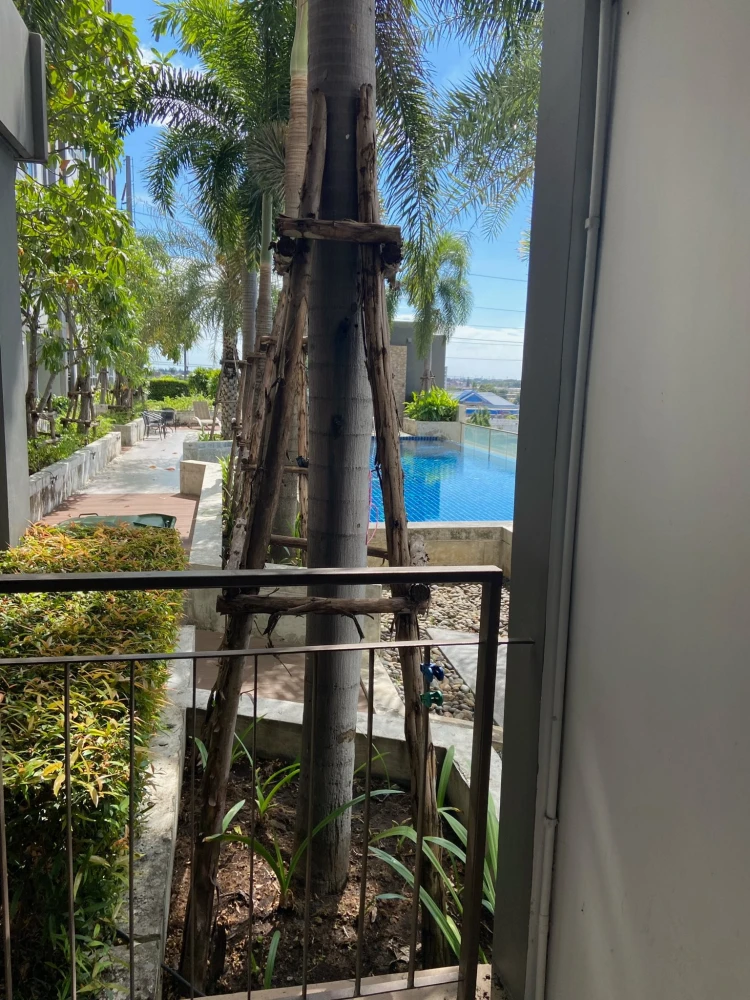 ขาย/ให้เช่า คอนโด Origins Bangmod-Rama 2 ห้องพร้อมอยู่ เฟอร์ + เครื่องใช้ไฟฟ้าพร้อม จองเลย ห้ามพลาด +++