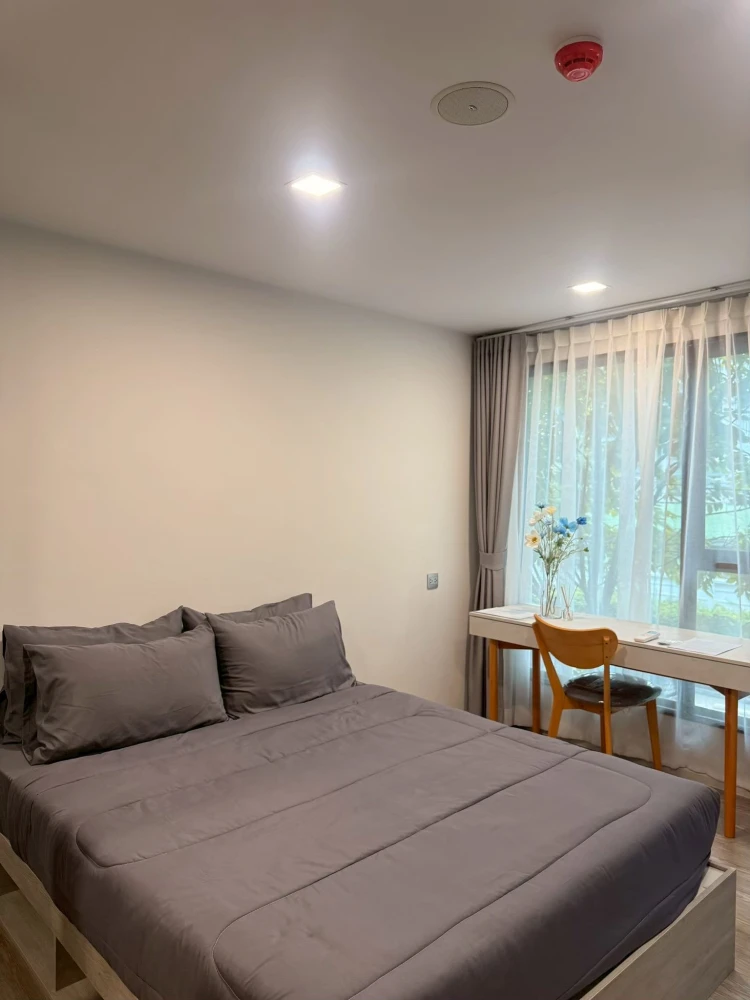 ขาย/ให้เช่า Kave Seed Kaset ห้องพร้อมอยู่ เฟอร์พร้อม จองเลย