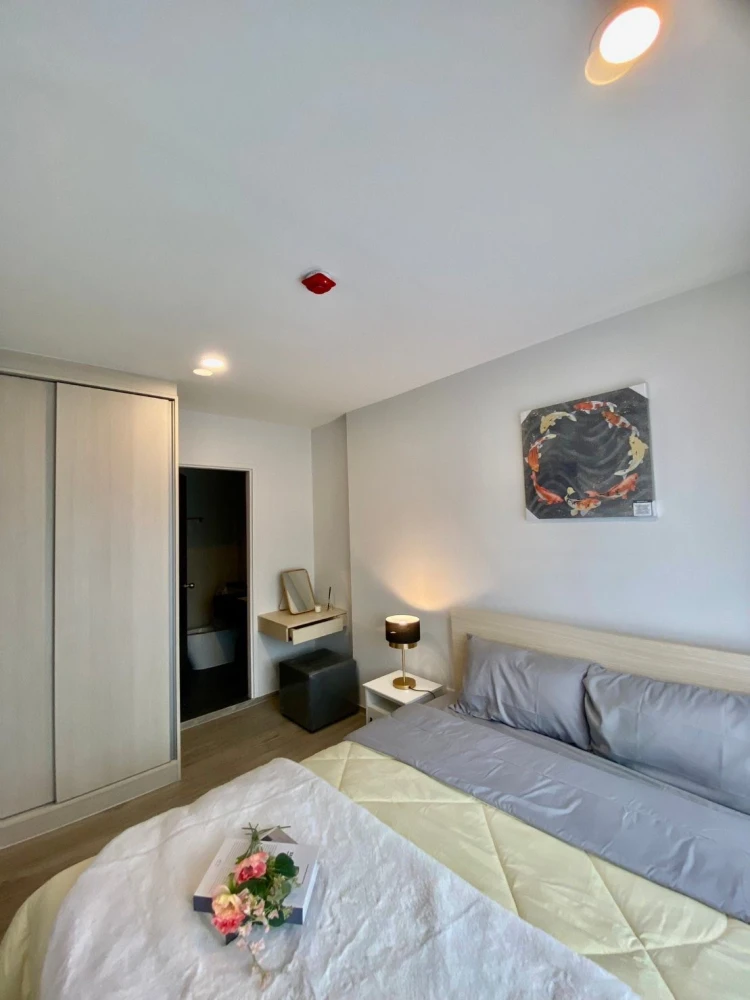 ขาย ให้เช่า Condo Dolce Lasalle ห้องพร้อมอยู่ เฟอร์ เครื่องใช้ไฟฟ้าครบ ลากกระเป๋าเข้าอยู่ได้เลย