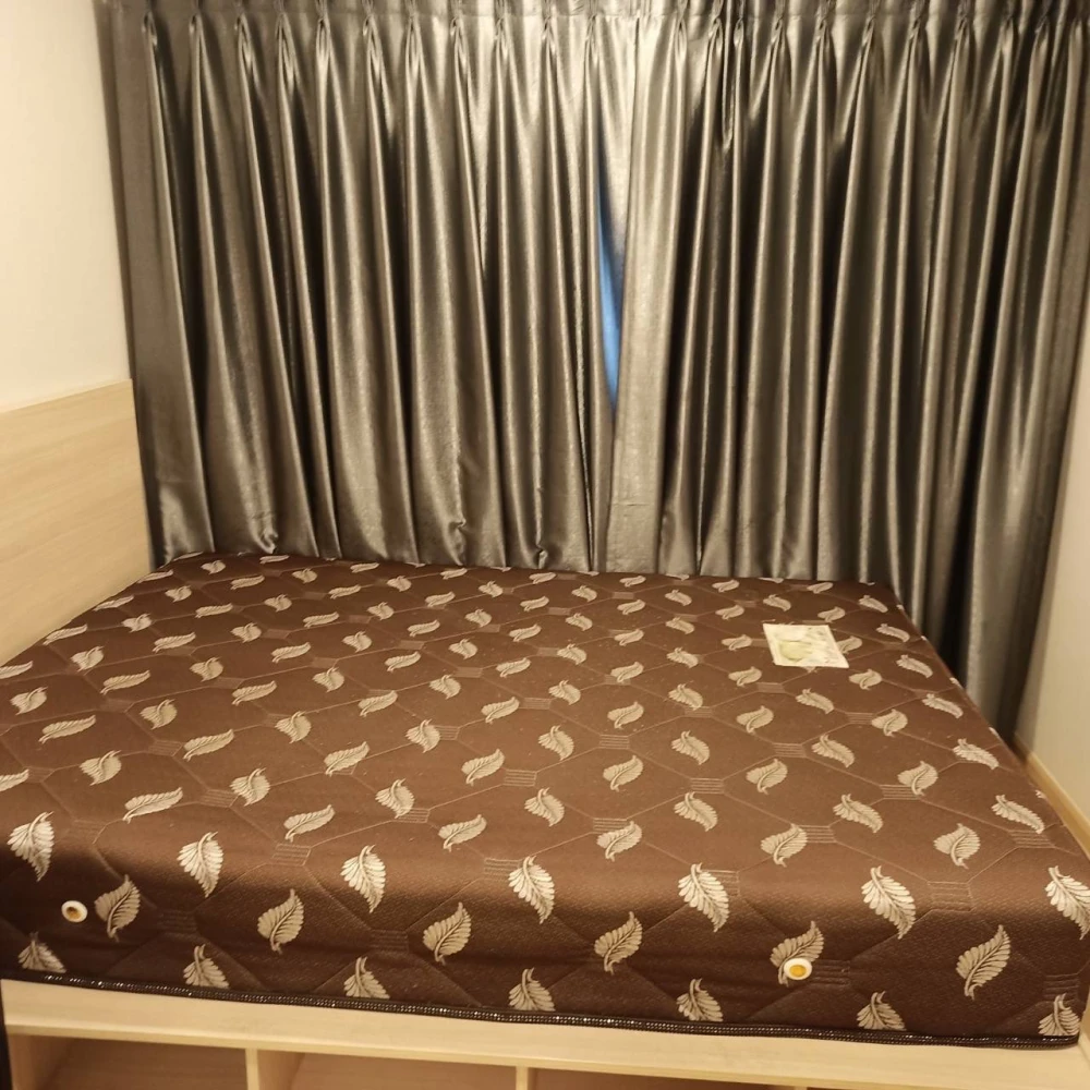 ขาย ให้เช่า Plum Condo Rangsit Alive 1 ห้องแต่งสไตล์มินิมอลน่าอยู่ เฟอร์ครบ ช้าหมดอดนะ