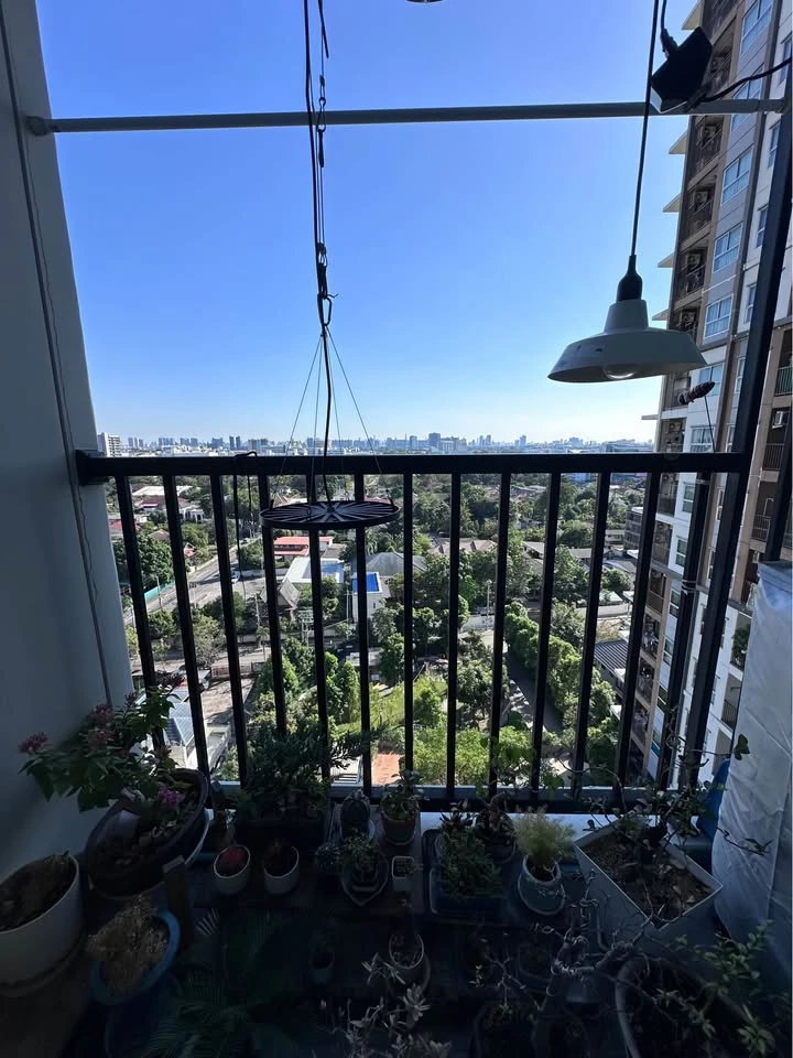 ขาย ให้เช่า The Trust Condo Ngamwongwan 1 ห้องนอน 1 ห้องน้ำ แต่งครบครัน สิ่งอำนวยความสะดวกครบครัน จองเลย