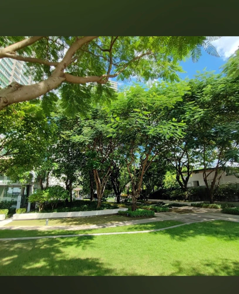 ขาย 333 RIVERSIDE พร้อมเฟอร์และครื่องใช้ไฟฟ้าครบ เข้าอยู่ได้ทันที สนใจเป็นเจ้าของ รีบจองเลย