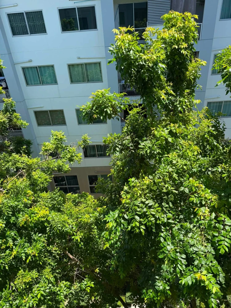 ขาย a Space ME Sukhumvit 77 ห้องชั้น 7 มาพร้อมสิ่งอำนวยความสะดวกครบครัน ทำเลดี จองด่วน