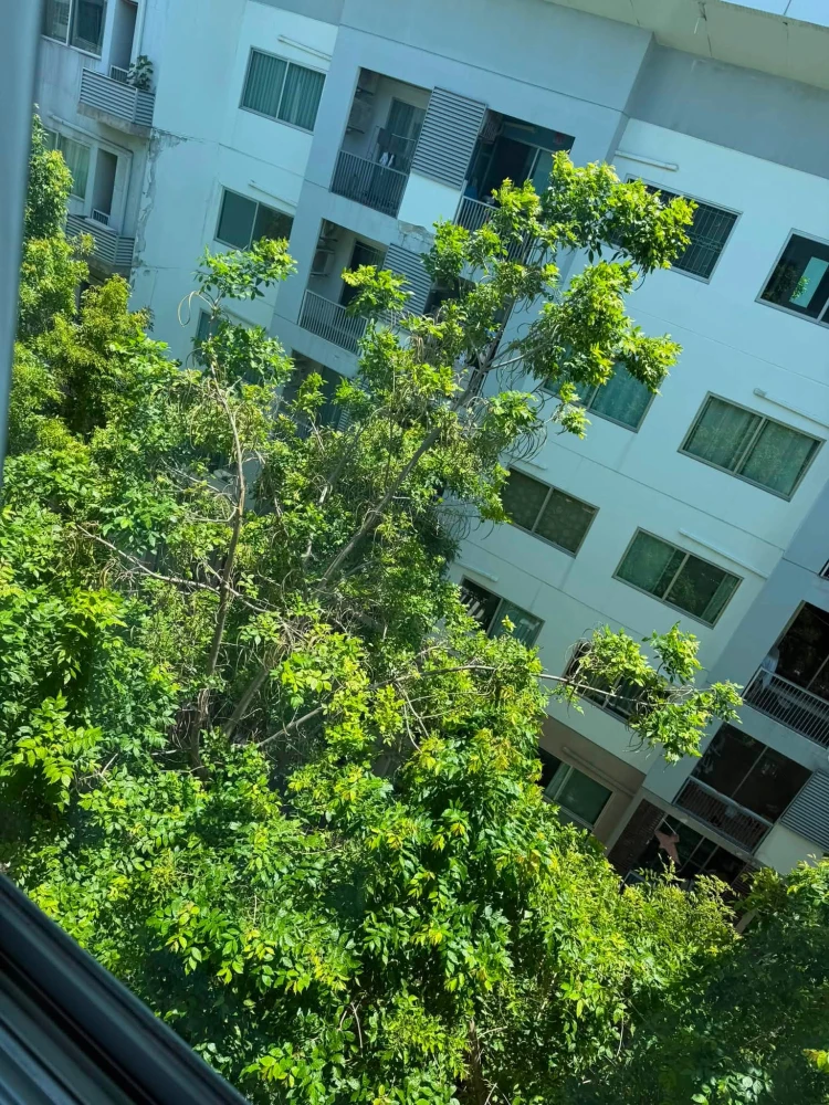 ขาย a Space ME Sukhumvit 77 ห้องชั้น 7 มาพร้อมสิ่งอำนวยความสะดวกครบครัน ทำเลดี จองด่วน
