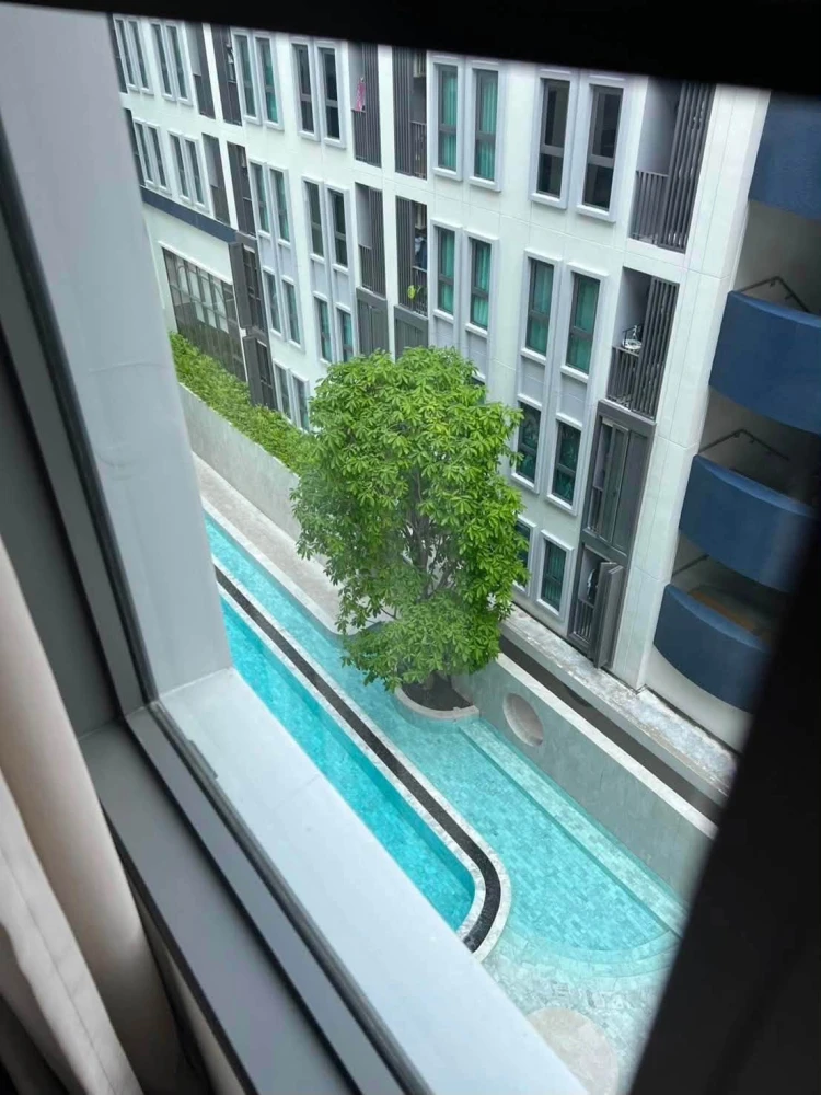 ขาย Aspire Ratchayothin ทิศเหนือ ห้องไม่โดนแดดร้อนช่วงบ่าย วิวสระว่ายน้ำ บรรยากาศสุดชิล ต้องจอง