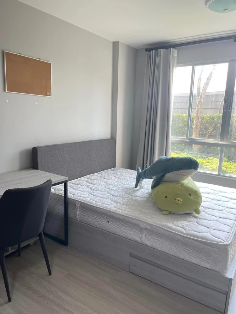 ขาย Dcondo Campus Kampangsaen ห้องน่าอยู่ มาพร้อมส่วนกลางสุดปัง ทำเลดี สิ่งอำนวยความสะดวกครบครัน จองด่วน images