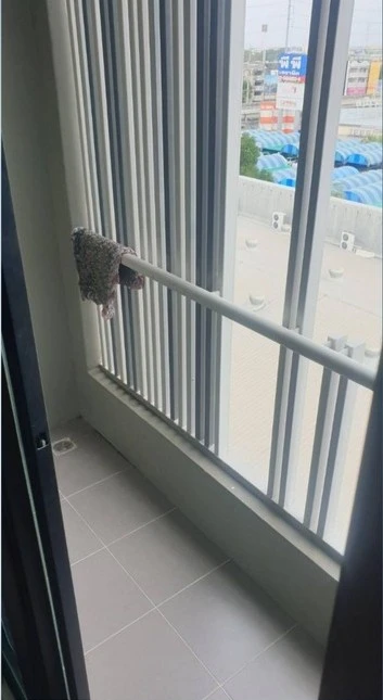 ขาย Esta Bliss ห้องสวย ขนาด 22.99 ตร.ม. เฟอร์นิเจอร์และเครื่องใช้ไฟฟ้าครบชุด ในราคาสุดคุ้ม รีบจองเลย