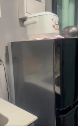 ขาย Kave Seed Kaset 1 ห้องนอน 1 ห้องน้ำ มาพร้อมสิ่งอำนวยความสะดวกครบครัน ทำเลดี จองเลย