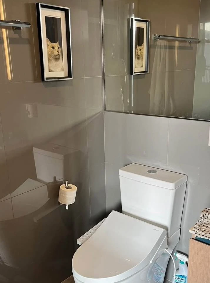 ขาย Kawa Haus อ่อนนุช 77 ทิศเหนือ ไม่ร้อน วิวโล่ง เครื่องใช้ไฟฟ้าครบครัน สนใจจองเลย