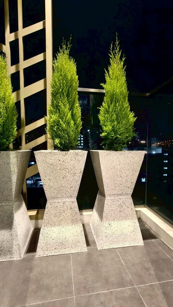 ขาย Mayfair Place Sukhumvit 50 1 ห้องนอน 1 ห้องน้ำ ตกแต่งคุมโทน ติดวอลเปเปอร์อย่างดี รีบจองเลยตอนนี้