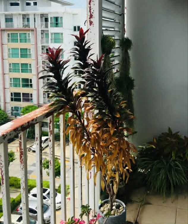 ขาย Metro Park Sathorn ห้องชั้น 7 มาพร้อมเฟอร์นิเจอร์และสิ่งอำนวยความสะดวกครบครัน จองเลยจ้า