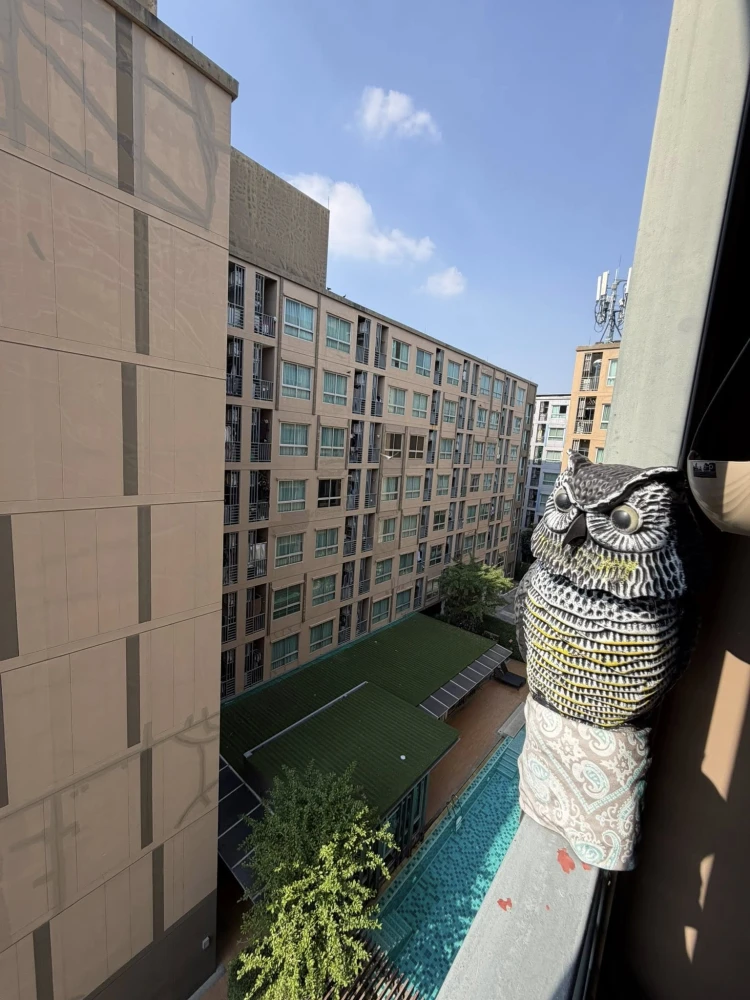 ขาย Niche id Sukhumvit 113 1 ห้องนอน 1 ห้องน้ำ เฟอร์และสิ่งอำนวยความสะดวกครบครัน หิ้วกระเป๋าเข้าอยู่ได้เลยจ้า