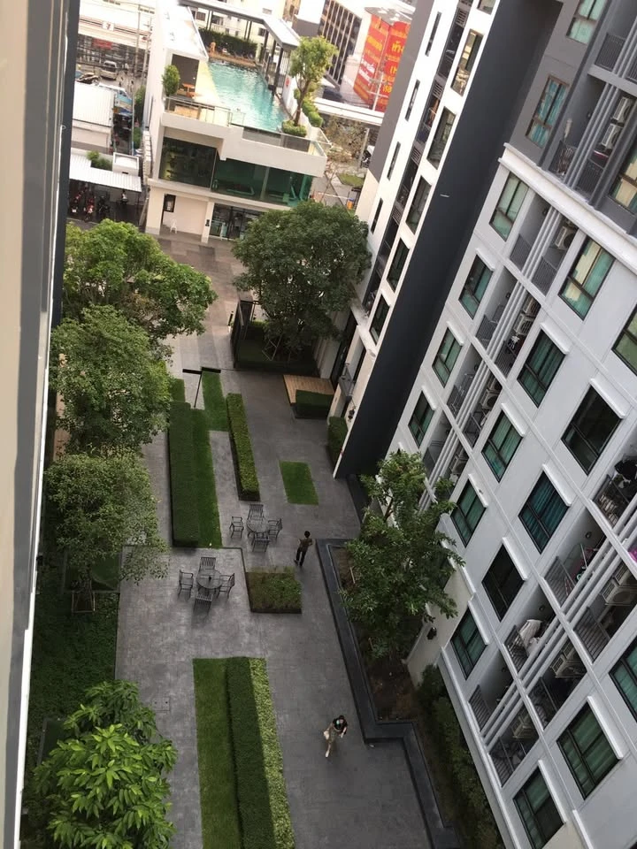 ขาย Notting hill สุขุมวิท 105 ชั้น 8 วิวสวน สวยมาก ไม่โดนแดด ไม่ร้อน! ติดวอลเปเปอร์ทั้งห้อง ถ้าไม่ใช่ตอนนี้ จะซื้อเมื่อไหร่