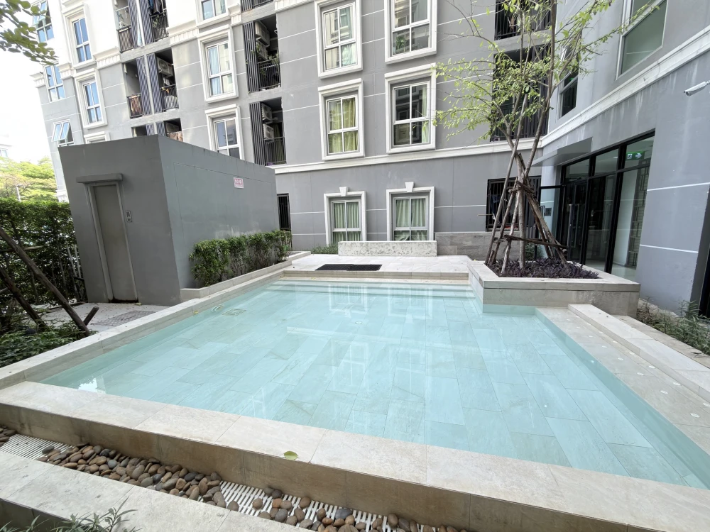 ขาย Plum Condo Chaengwattana Station เฟส 2 พื้น SPC กันชื้น กันปลวก ตู้บิ้วอิน จัดเก็บเป็นสัดส่วน ห้องสวย อบอุ่น น่าอยู่