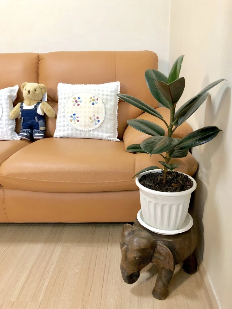 ขาย Plum Condo Samakkhi 1 ห้องนอน 1 ห้องน้ำ มาพร้อมสิ่งอำนวยความสะดวกครบครัน หิ้วกระเป๋าเข้าอยู่ได้เลยจ้า