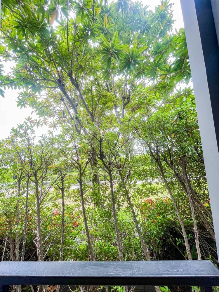 ขาย Supalai Loft @ Talat Phlu Station ห้องกว้างพื้นที่ใช้สอยเยอะ ระเบียงเปิด วิวสวน ทำเลดี ห้ามพลาด