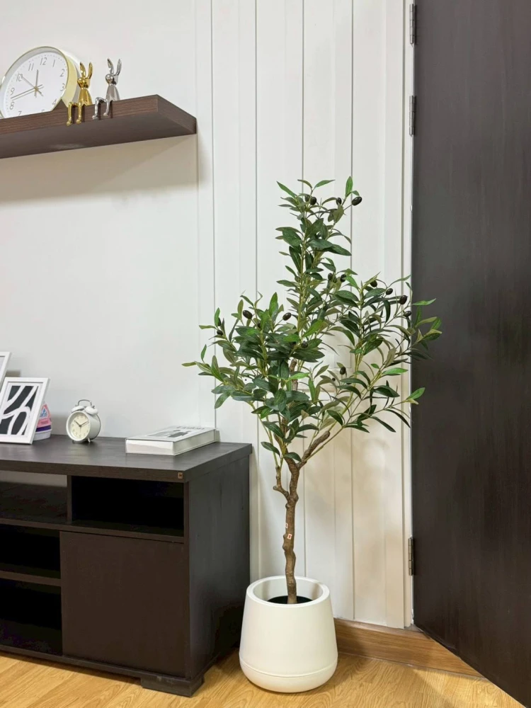 ขาย The Tree Condo Ladprao ห้องน่าอยู่ เฟอร์พร้อม + สิ่งอำนวยความสะดวกครบครัน จองเลย