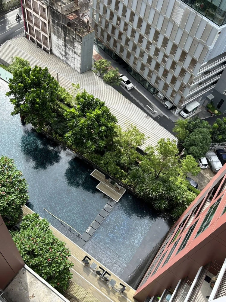 ขาย WYNE Sukhumvit 1 ห้องนอน 1 ห้องน้ำ ติดวอลเปเปอร์อย่างดี เดินทางสะดวก จองเลยจ้า