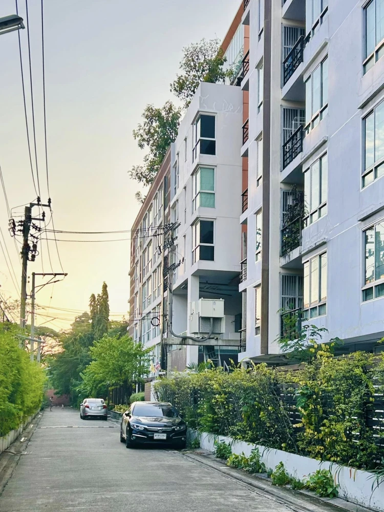 คอนโด ทรี คอนโด ลักซ์ สุขุมวิท 52  ห้องพร้อมอยู่ เฟอร์พร้อม รีบจองเลย++