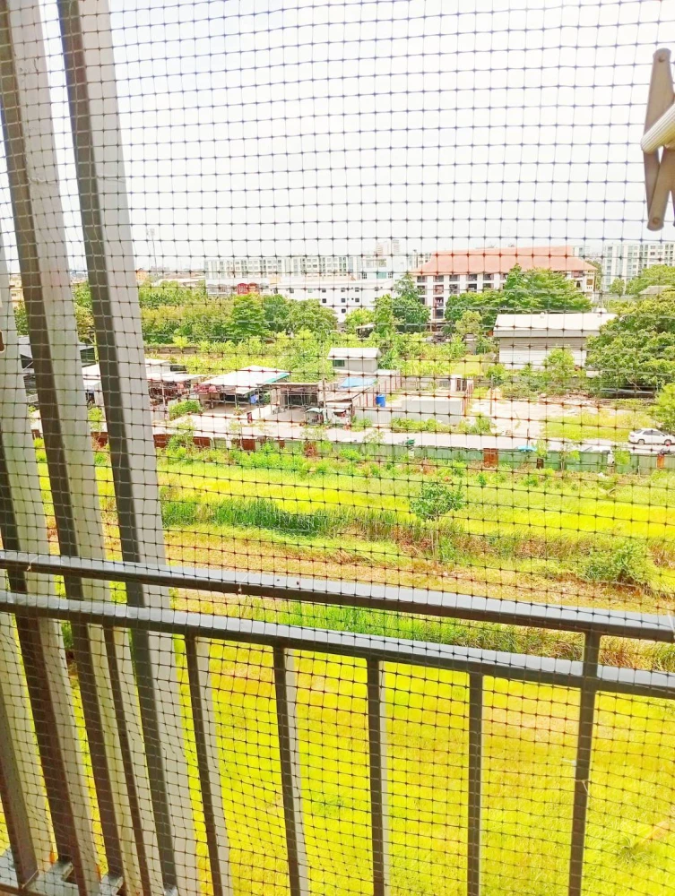 ห้องมาใหม่ ไอริส รีโนเวทใหม่หมด แนวมินิมอล อบอุ่น สบายตานัดชมห้องด่วนก่อนพลาด