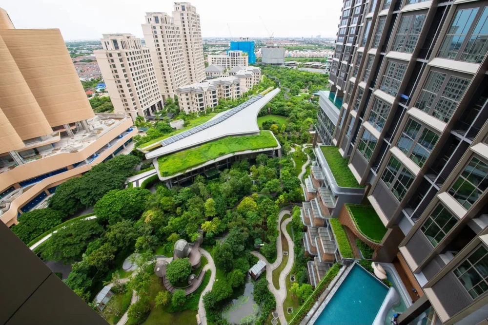 ให้เช่าคอนด Whizdom The Forestias ห้งแต่งน่าอยู่ พื้นที่ใช้สอยจุใจ พื้นที่ใช้สอยจุใจ มาจองเลย อย่าพลาด