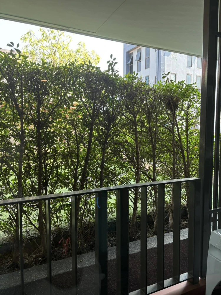 ให้เช่าคอนโด Brown Condo Phahol-Sapanmai ห้องพร้อมอยู่ สิ่งอำนวยความสะดวกครบ มาจองได้แล้ววันนี้ อย่าพลาด