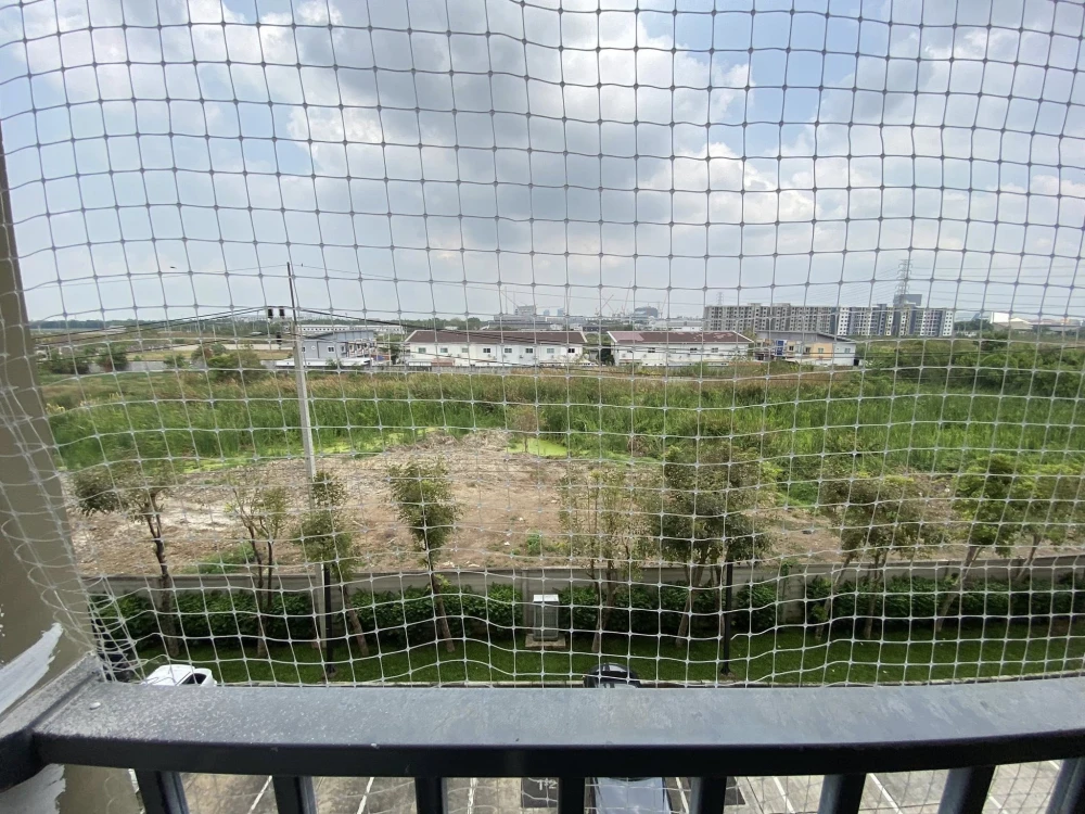 ให้เช่า พลัมคอนโด รังสิต อไลฟ์ เฟส 1  ชั้น 4 ห้องสวยอยู่สบาย มุมตึกวิวนอก ลมเข้าเย็นสบายดี ห้ามพลาด