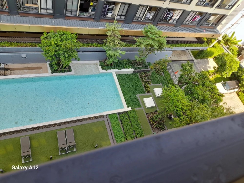 ให้เช่า พลัมคอนโด สะพานใหม่ สเตชั่น  ฝั่งสระว่ายน้ำ วิวระเบียง มองเห็นสระว่ายน้ำส่วนกลาง กั้นห้องนอนและห้องนั่งเล่นเป็นสัดส่วน