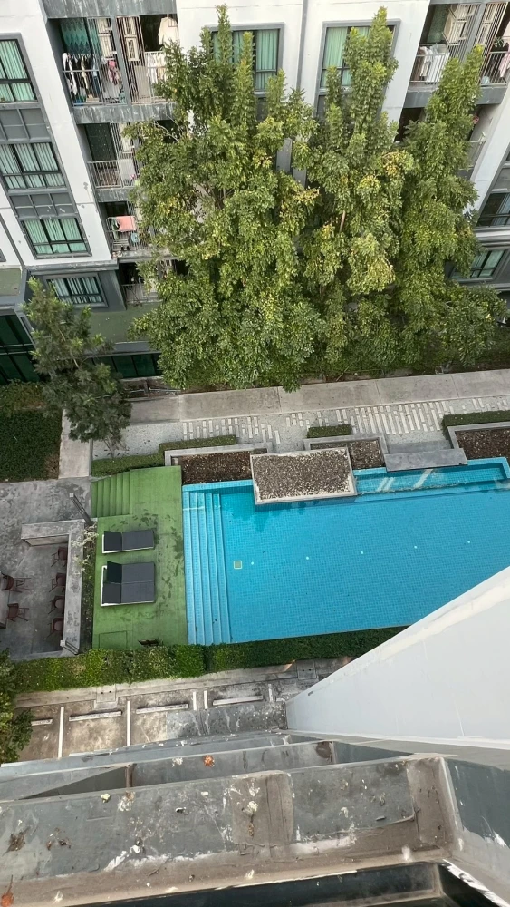 ให้เช่า เคนซิงตัน แหลมฉบัง ศรีราชา ห้องพร้อมอยู่ เฟอร์พร้อม กว้างขางอยู่สบาย จองเลย