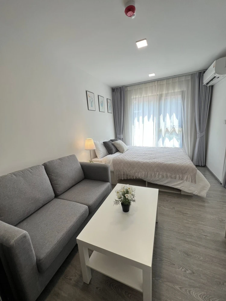 ให้เช่า เคฟ วันเดอร์แลนด์ อาคาร D ชั้น 3 วิวนอก เงียบสงบ อ่านหนังสือ/พักผ่อนชิลๆ  เฟอร์ครบ + เครื่องใช้ไฟฟ้าพร้อมอยู่