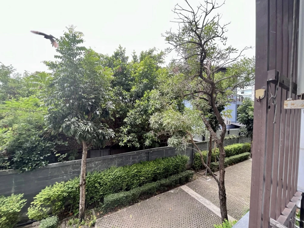 ให้เช่า ไอคอนโด สุขุมวิท 105 ห้องพร้อมอยู่ เฟอร์พร้อม จองเลย ราคาสบายกระเป๋า